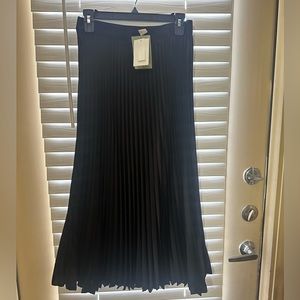 Pleated Skirt